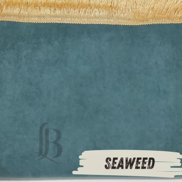 Seaweed